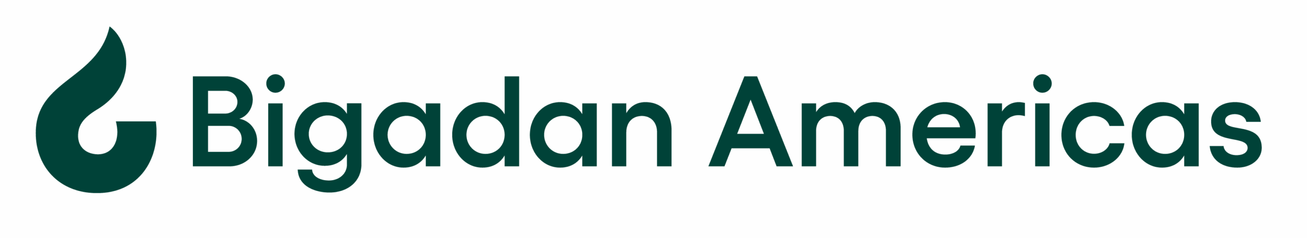 Bigadan Americas Logo